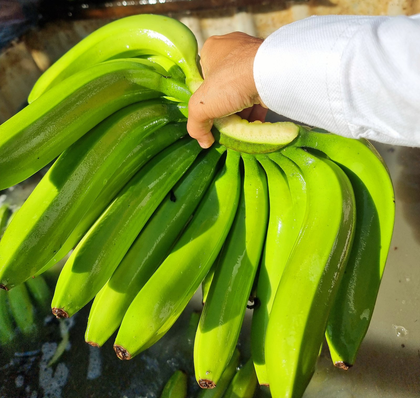 Vietnamese Bananas: Types and Export Value