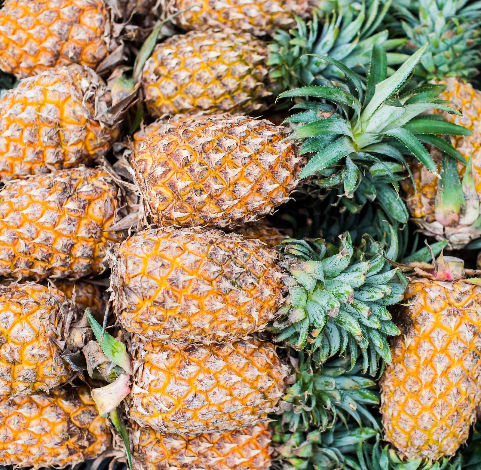 Types of Pineapples in Vietnam: Strengths and Weaknesses