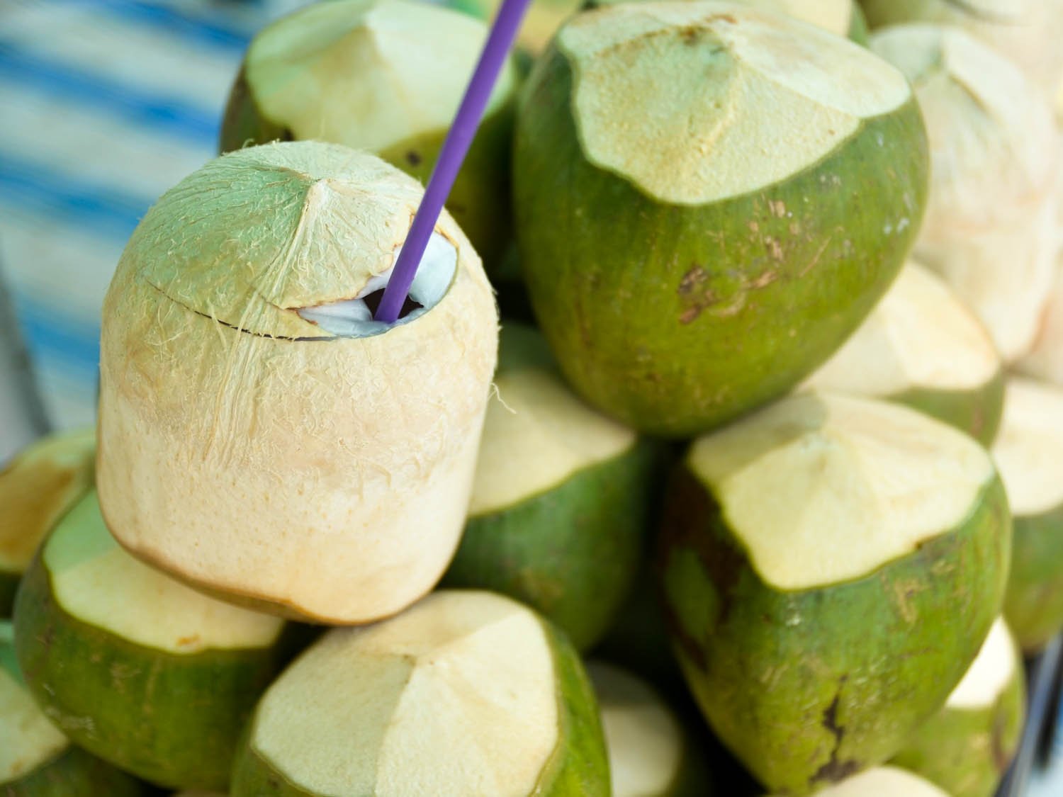 Vietnamese Coconut: A Tropical Treasure with Endless Benefits